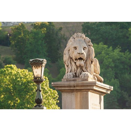 Haseltine, Tom 아티스트의 Hungary-Budapest-Lion sculpture on the Szechenyi Chain Bridge작품입니다.